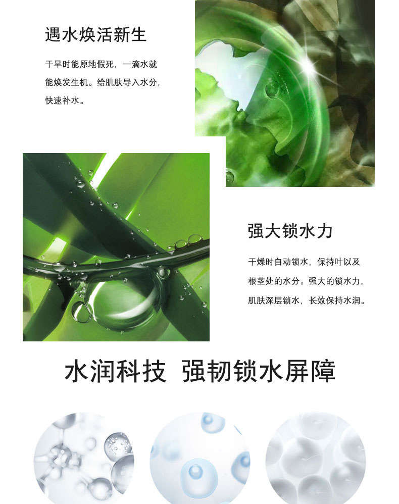 復(fù)活草修護(hù)面膜OEM代加工