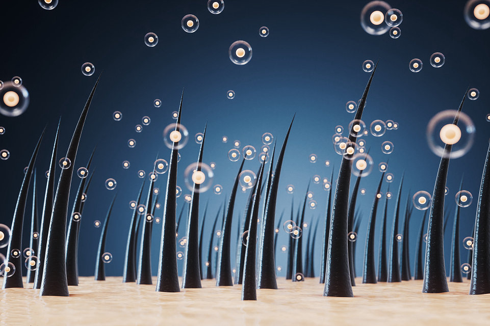 二月二龍?zhí)ь^丨一切美好從“頭”開始